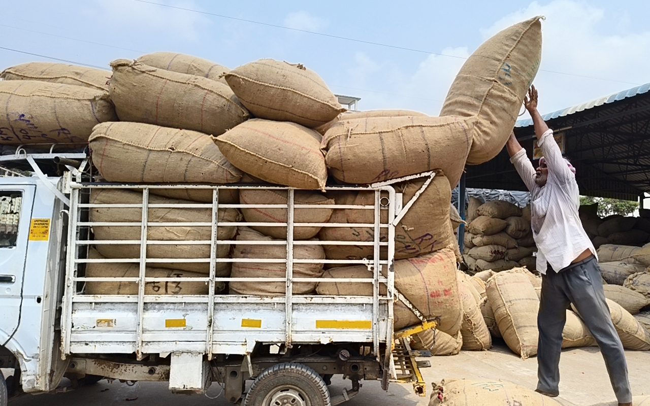 Global Chilli Markets